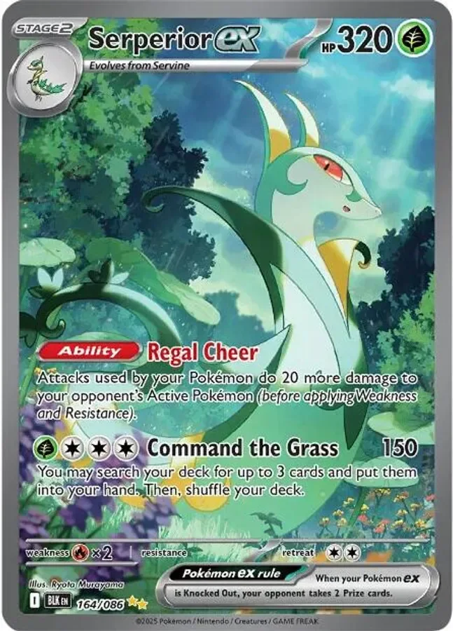 Serperior ex 164/086 Special Illustration Rare from Black Bolt
