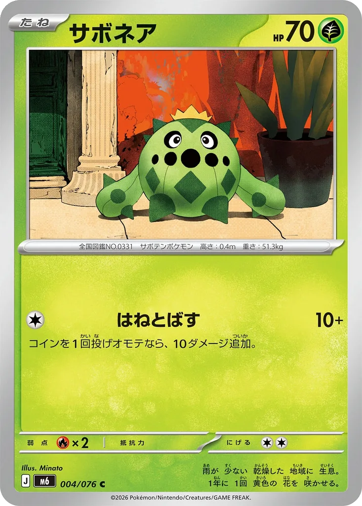 Storm Emeralda Card List 004/076 Cacnea Common Pokemon Card